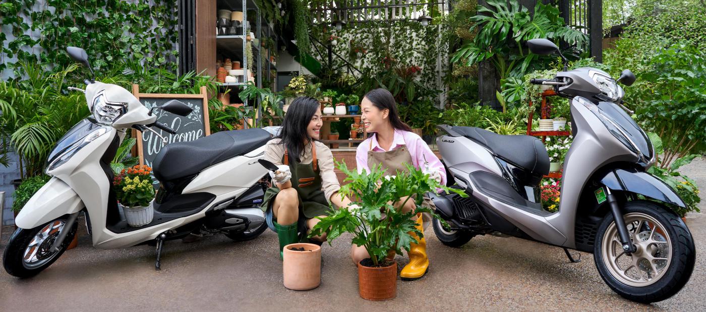 Gu Hiện Đại Đẹp Cuốn Hút
